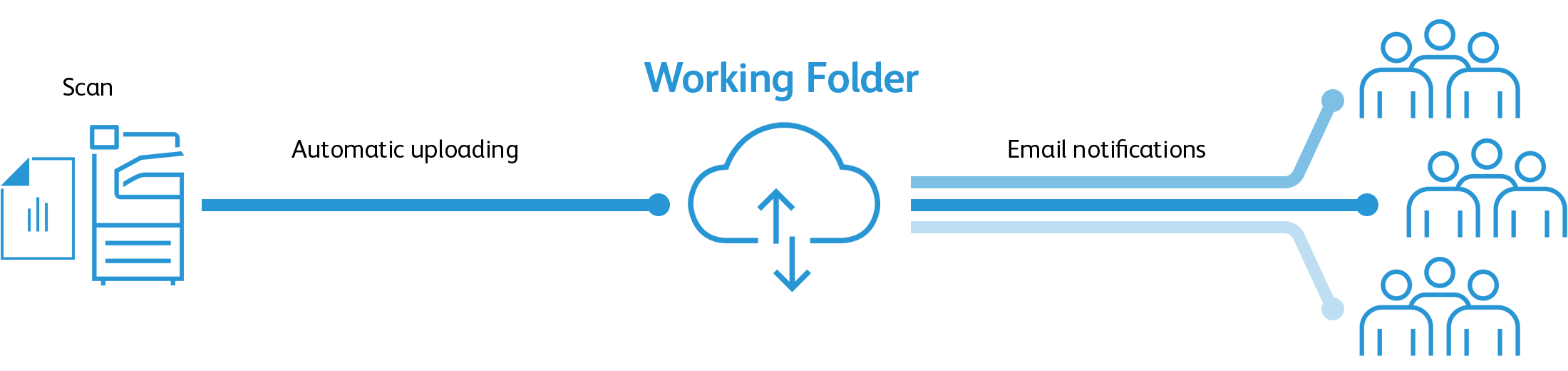 Working Folder